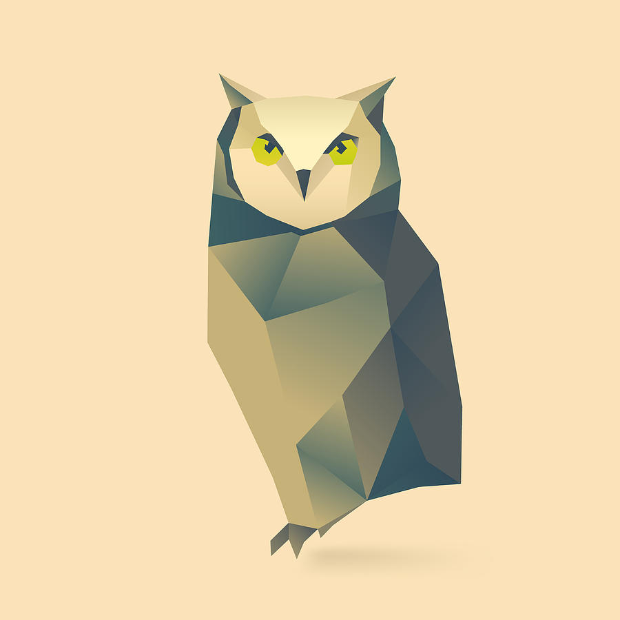 Poly Birds Owl Digital Art