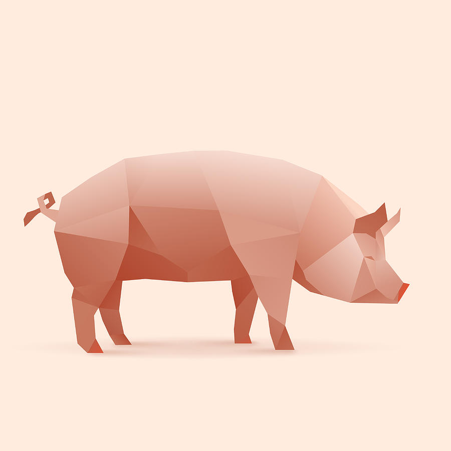 Polygonal Farm Animal Pig Digital Art