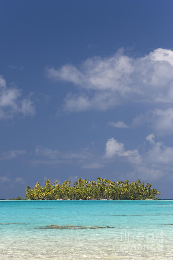 Polynesian Island Photograph by Jean-Louis Klein & Marie-Luce Hubert
