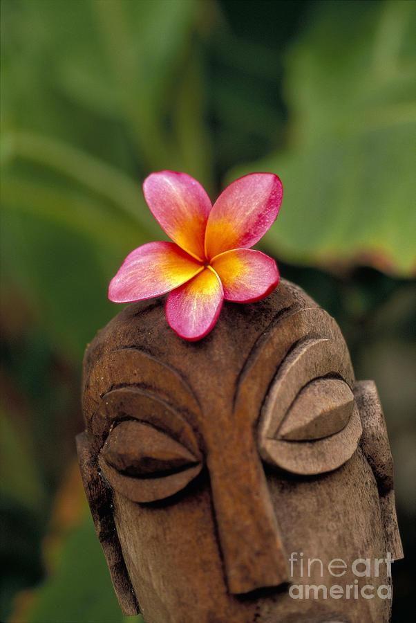 Polynesian Statue Photograph by Dana Edmunds - Printscapes