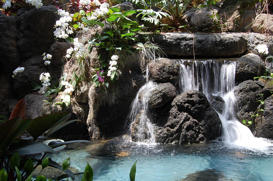Orchid Photograph - Polynesian Waterfall by Classic Color Creations