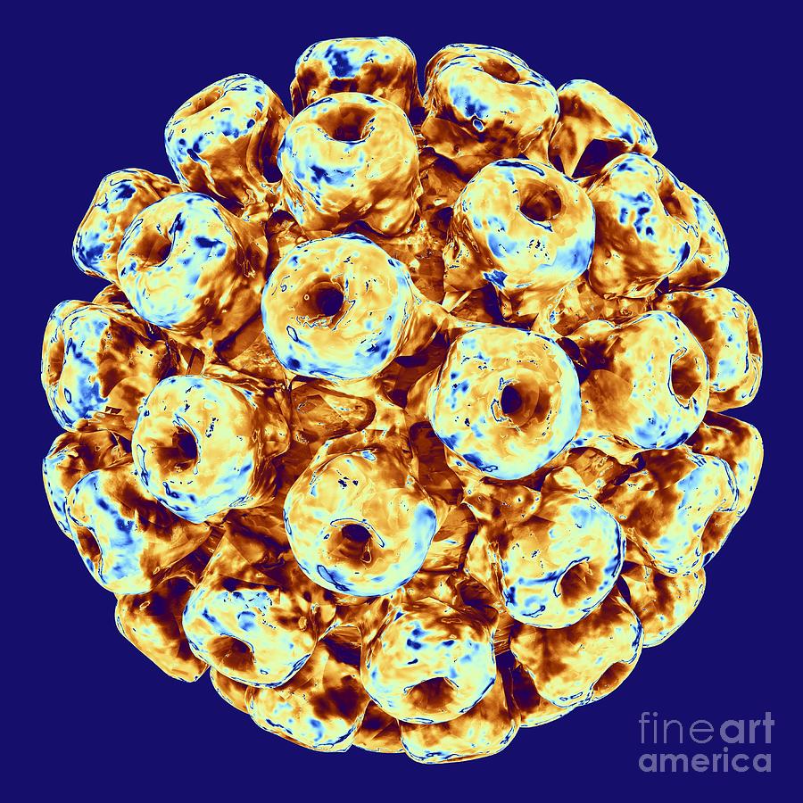 Polyoma BK virus, artwork Photograph by Pasieka SPL