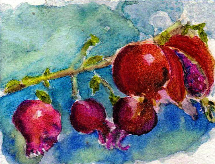 Pomegranate Painting by Anne Duke
