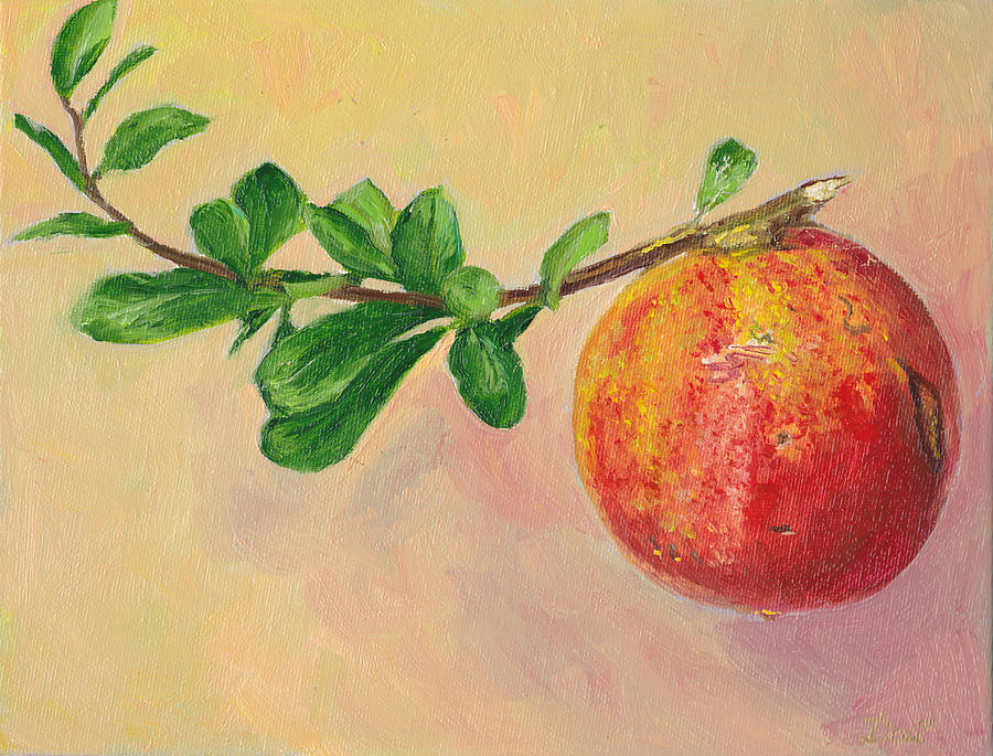 Pomegranate Fruit Painting by Dai Wynn