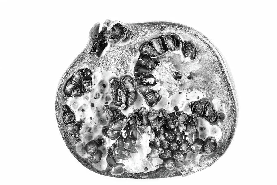 Pomegranate in Black and White Photograph by James BO Insogna