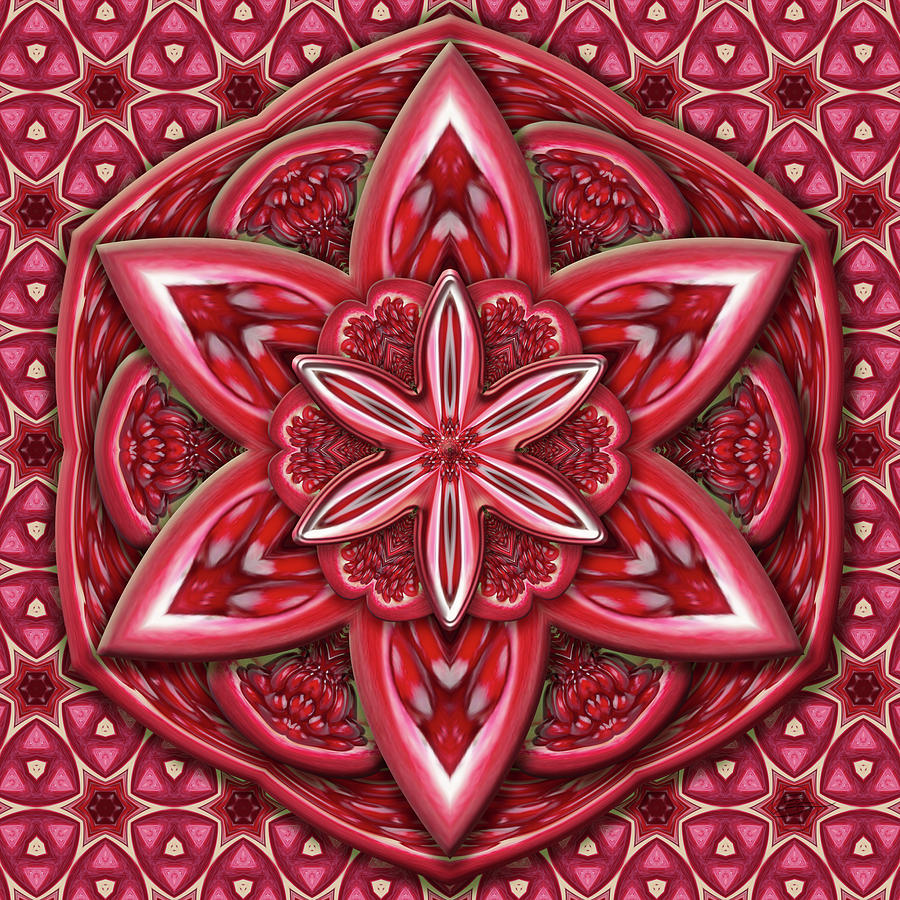 Pattern Photograph - Pomegranate by Karen Hochman Brown