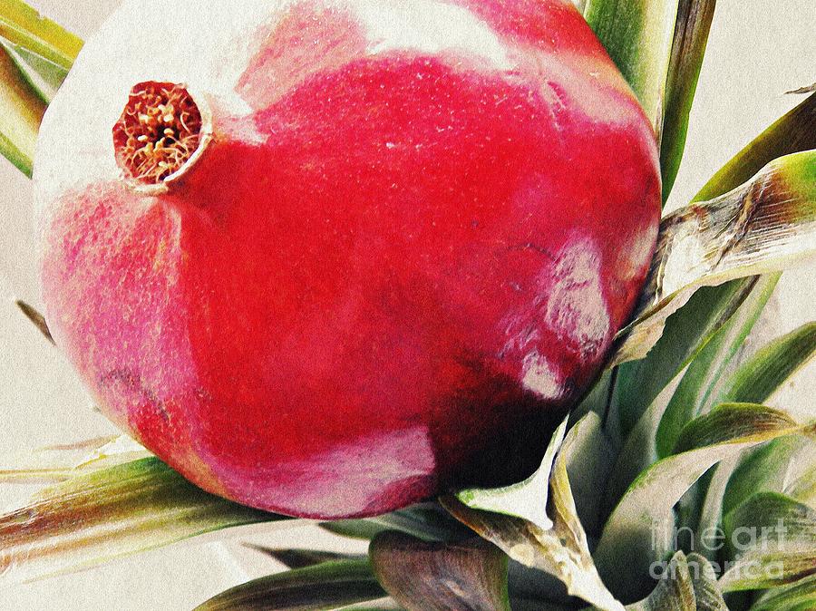 Farm Photograph - Pomegranate on a Pineapple Stalk by Sarah Loft