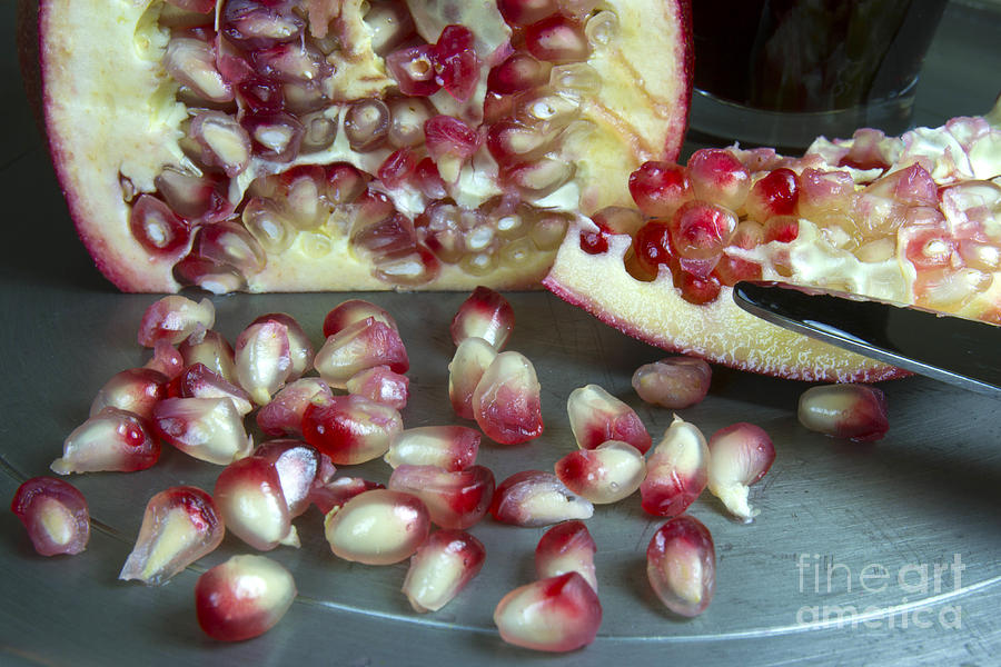 Pomegranate Seeds Photograph by Karen Foley