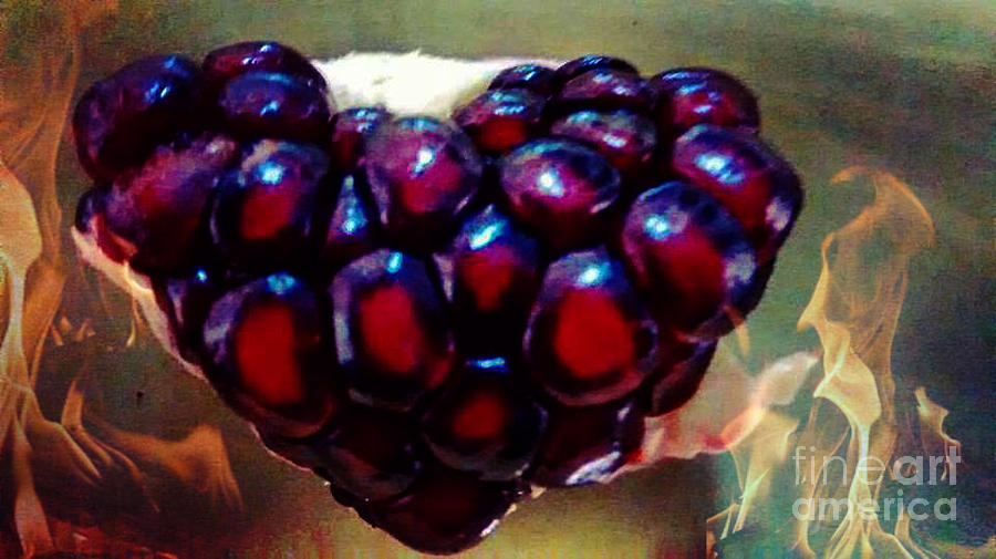 Pomegranate Smoking Heart Painting by Genevieve Esson