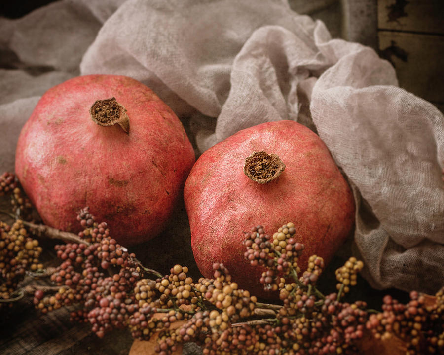 Pomegranate Still Life Photograph by Teresa Wilson