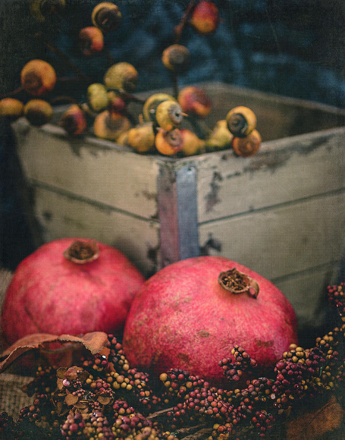 Pomegranate Still Life Vertical Photograph by Teresa Wilson