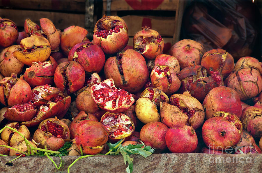 Fruit Photograph - Pomegranates by Marion Galt