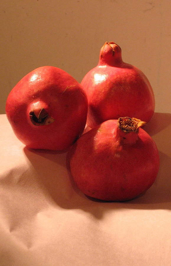Pomegranates Photograph by Outre Art Natalie Eisen