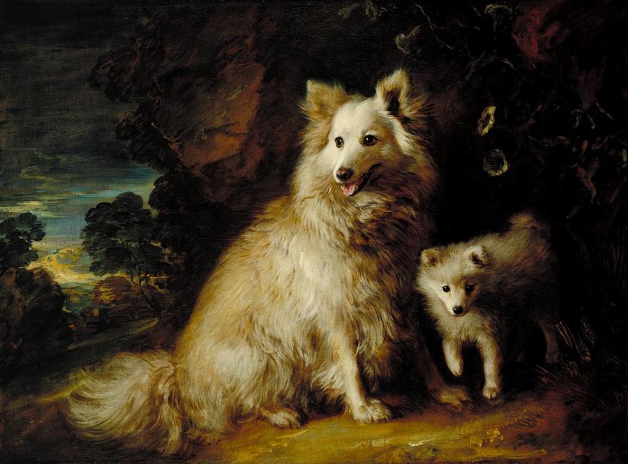 Pomeranian Bitch and Puppy Painting by Thomas Gainsborough