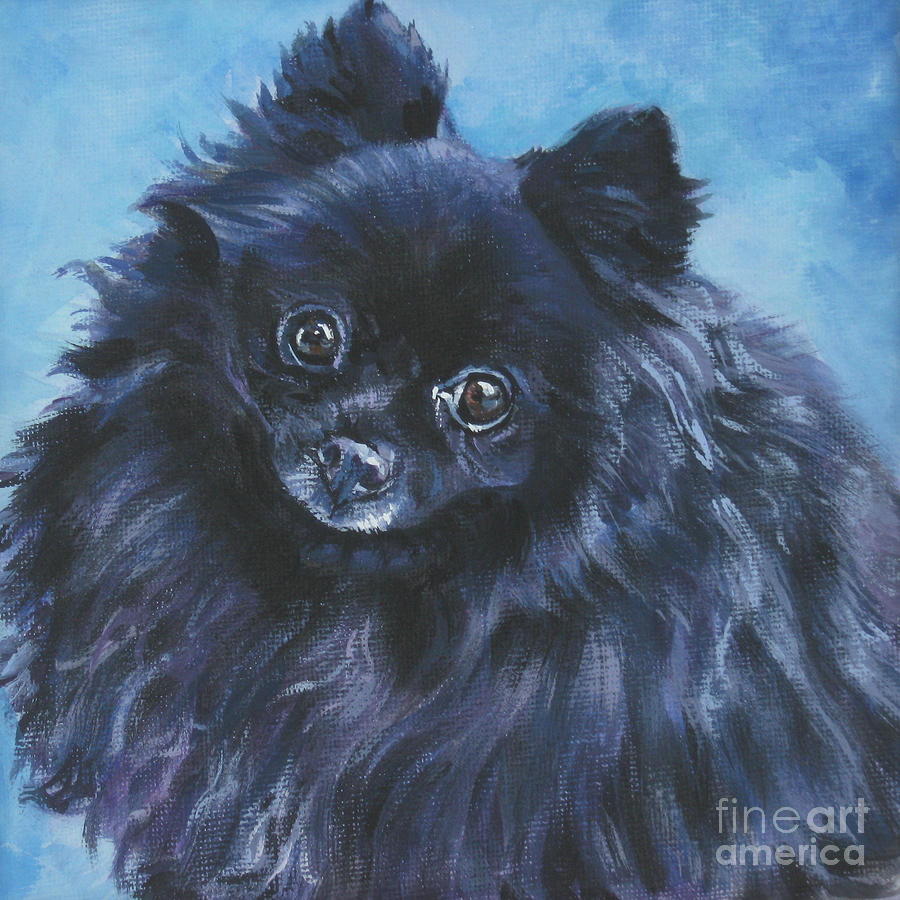 Pomeranian black Painting by Lee Ann Shepard