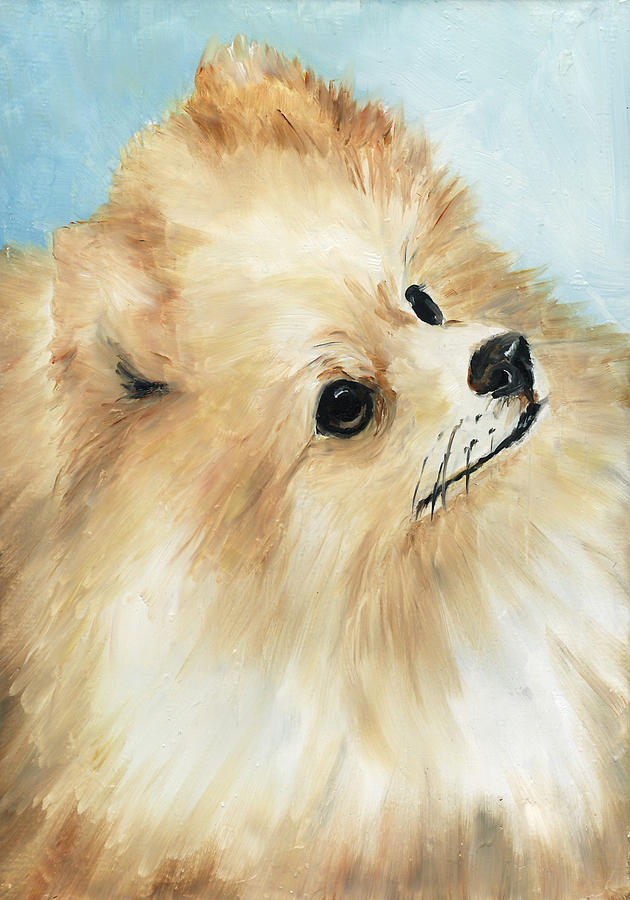 Pomeranian Painting by Charlotte Yealey