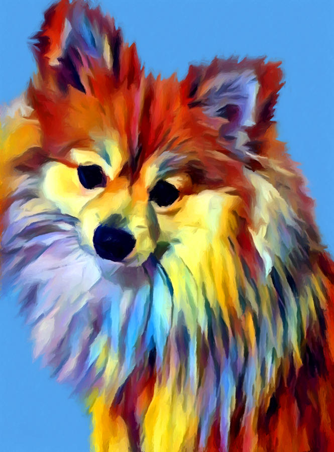 Pomeranian Painting by Chris Butler