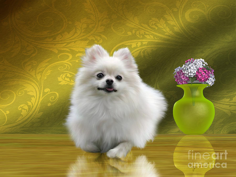 Pomeranian Dog Painting by Corey Ford