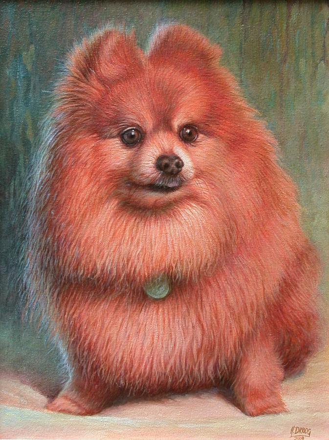 Pomeranian Dog Painting by Hans Droog