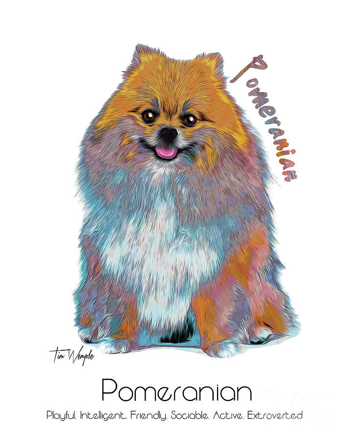 Pomeranian Digital Art - Pomeranian Pop Art by Tim Wemple