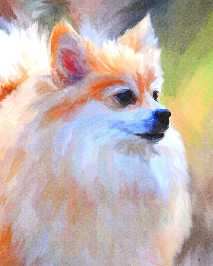 Pomeranian Portrait Painting by Jai Johnson
