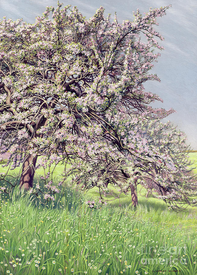 Pommiers Fleuris Painting by Carlos Schwabe