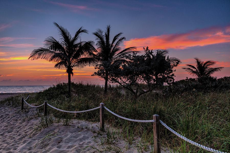 Pompano Beach Sunrise at the Park Photograph by Tom Heywood - Fine Art ...