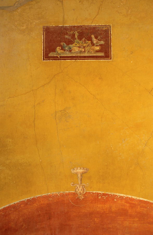 Pompeii House of the Vettii fresco Photograph by Sami Sarkis - Fine Art ...