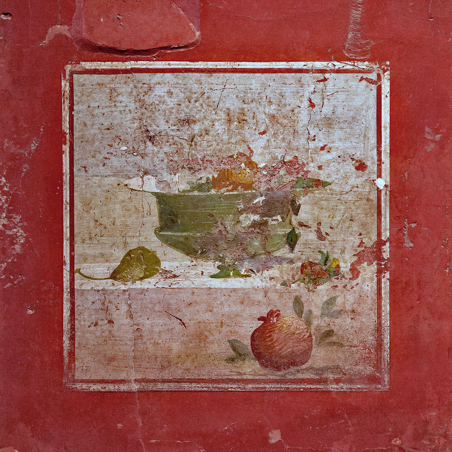Pompeii Pomegranate Still Life Fresco 2 Photograph by Kevin Anderson