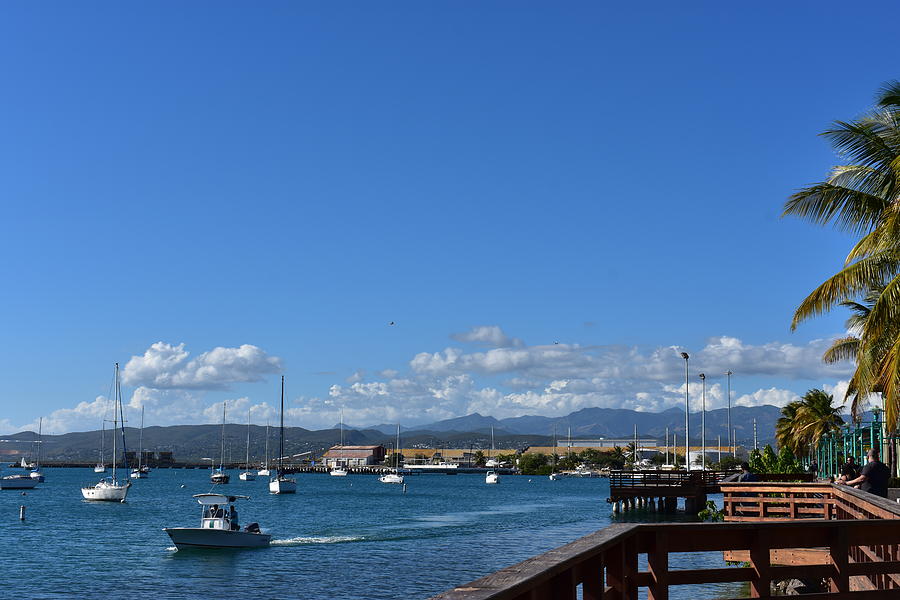 Ponce Boardwalk Photograph by Araceli Berrios - Fine Art America