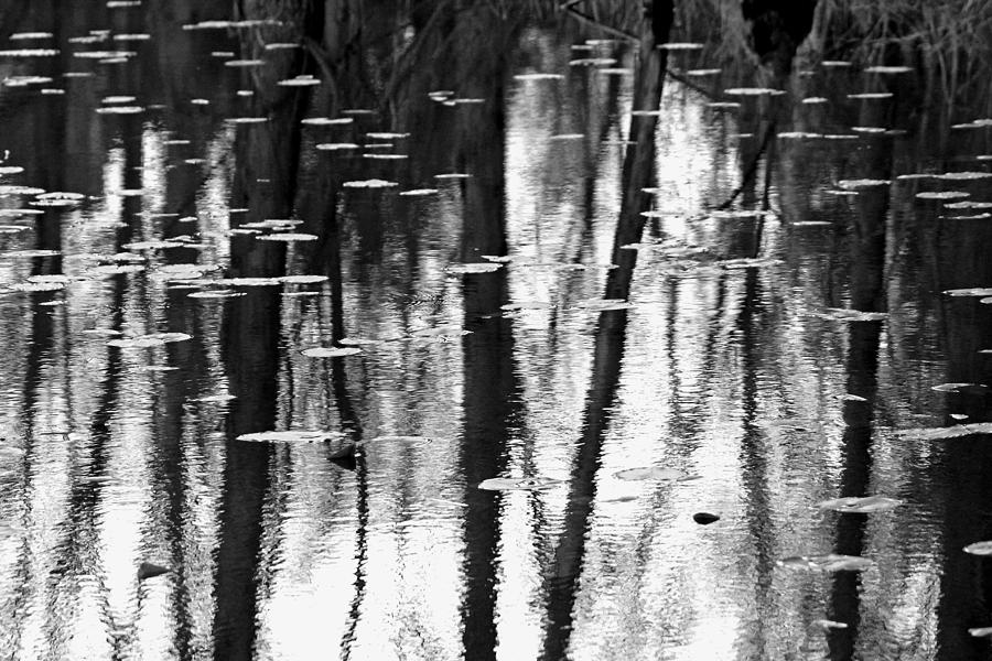 Pond Abstract Photograph by Debbie Oppermann