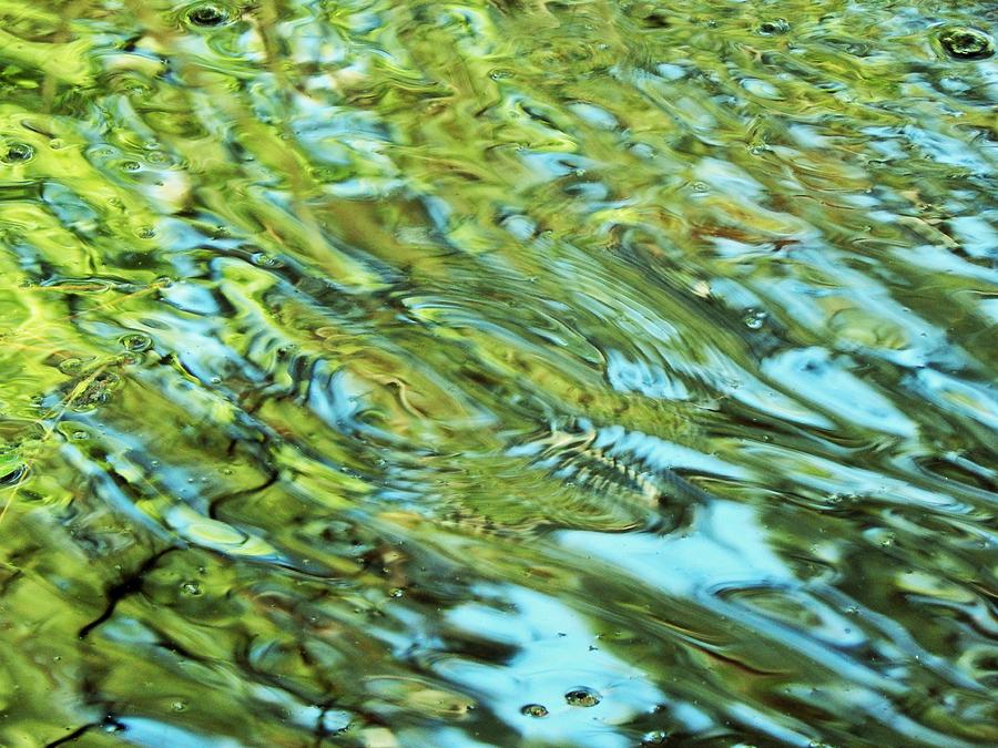 Pond Abstract Photograph