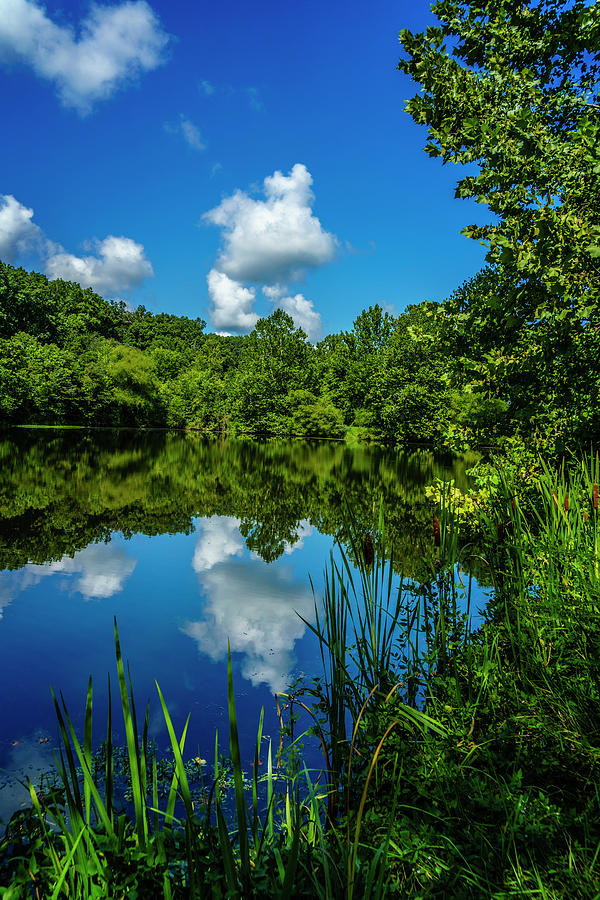Pond and Sky Reflection Hermann MO_7R2_DSC0144_16-08-18 Photograph by Greg Kluempers