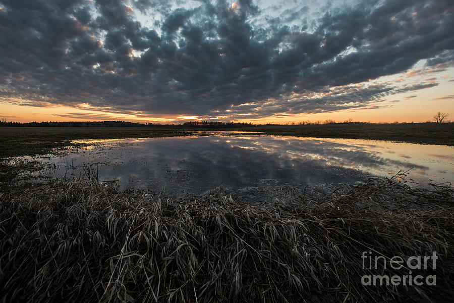Pond and Sky Reflection1 Photograph by Steve Somerville