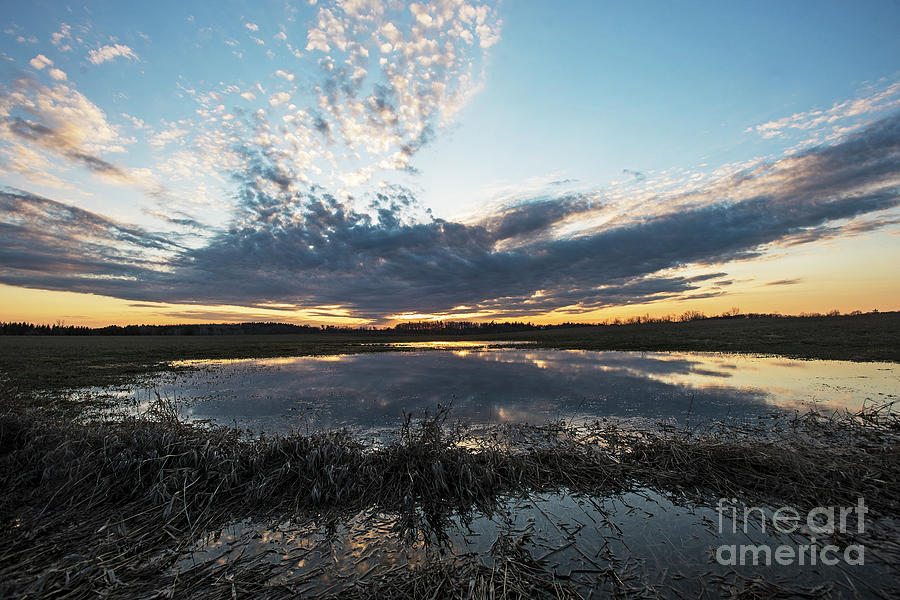 Pond and Sky Reflection2 Photograph by Steve Somerville
