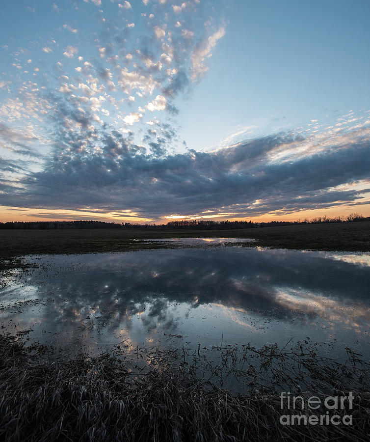 Pond and Sky Reflection3A Photograph by Steve Somerville