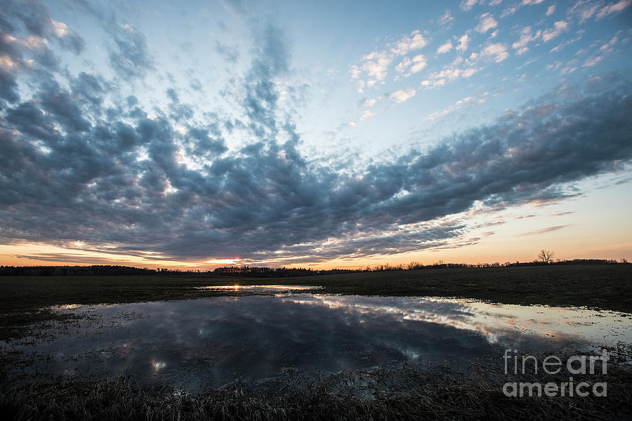 Pond and Sky Reflection4 Photograph by Steve Somerville