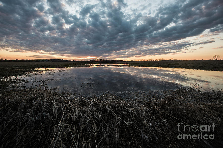 Pond and Sky Reflection5 Photograph by Steve Somerville
