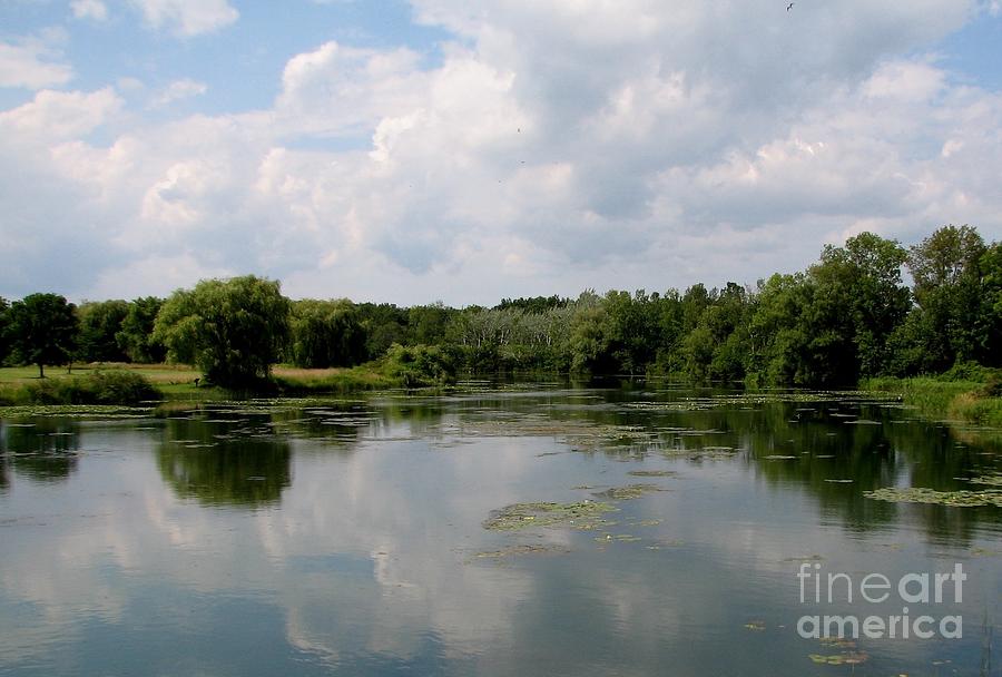 Pond At Beaver Island State Park In New York Photograph