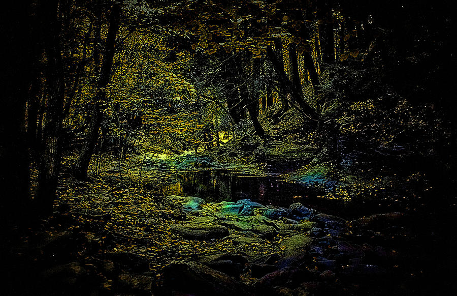 Mountain Photograph - Pond At NIght by Cathy Harper