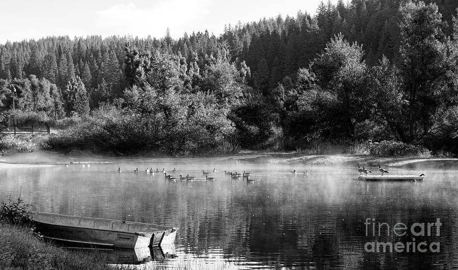 Pond Boat Geese Black White  Photograph by Chuck Kuhn