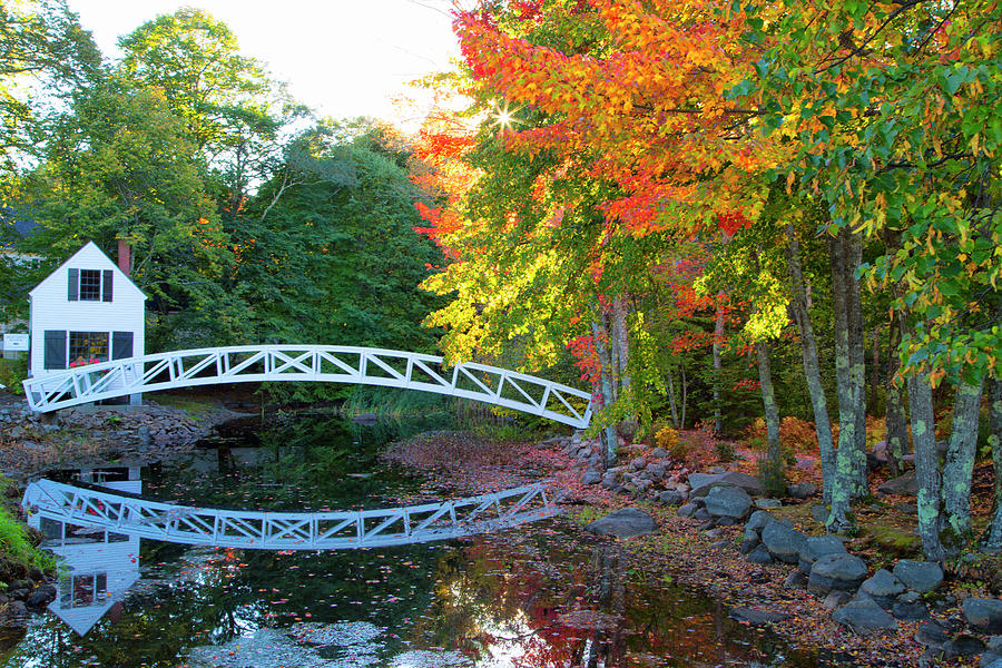Pond Bridge Reflection Photograph by Nancy Dunivin
