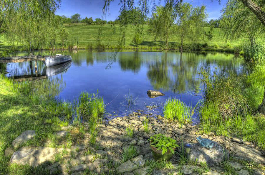 Pond Dreams 1 Photograph by Sam Davis Johnson