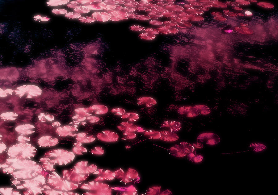 Pond in Pink Digital Art by JGracey Stinson