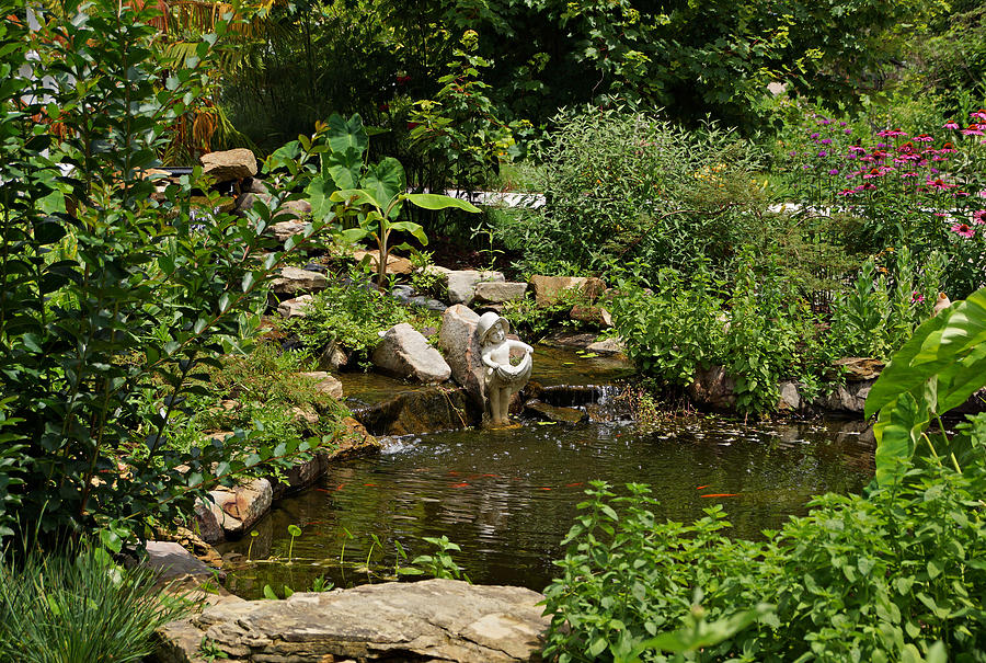 Pond in the Garden Photograph by Sandy Keeton