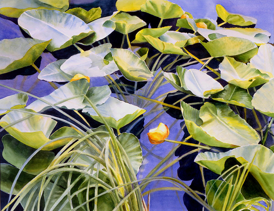 Lily Painting - Pond Lilies by Sharon Freeman
