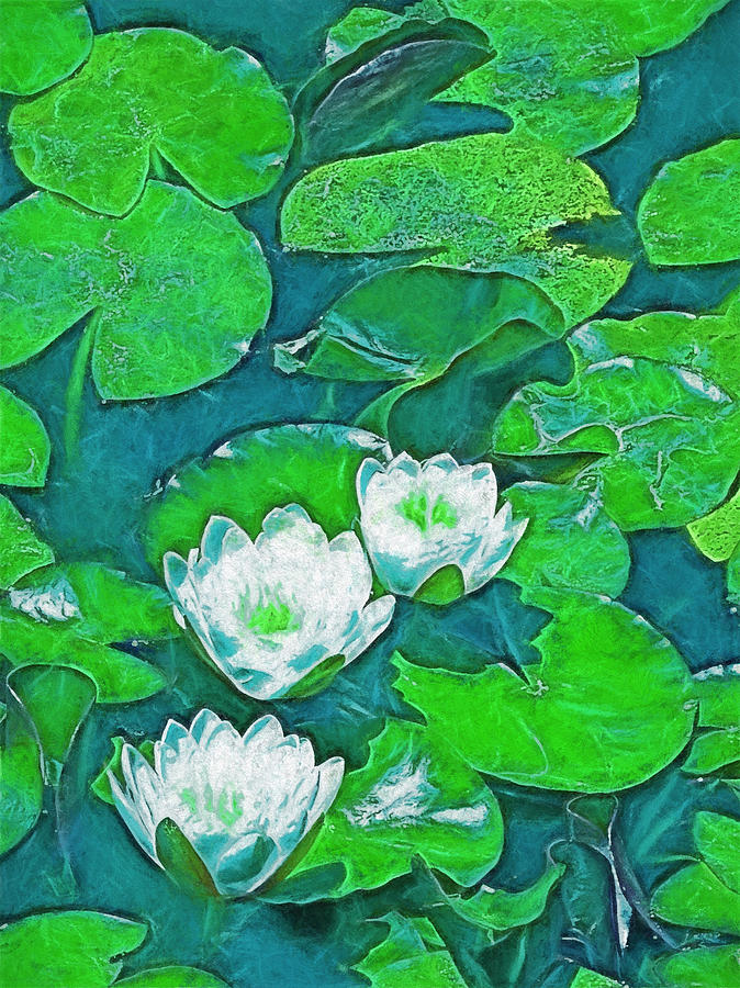 Nature Photograph - Pond Lily 2 by Pamela Cooper