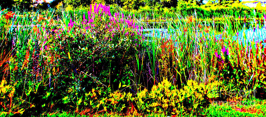 Impressionism Photograph - Pond of Mind by Rick Maxwell