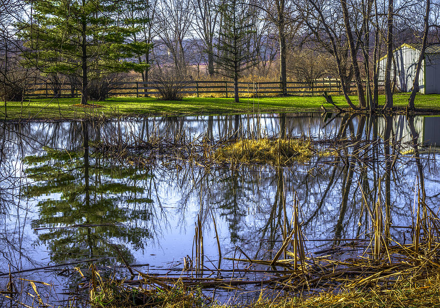 Pond on Hickory Nut Grove Horizontal Photograph by Raymond Kunst