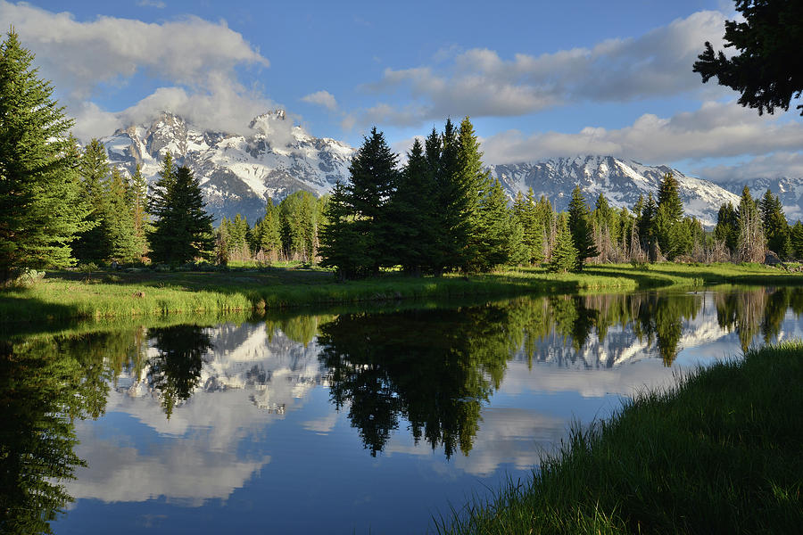 Pond Reflection at Schwabacher Landing Photograph by Ray Mathis